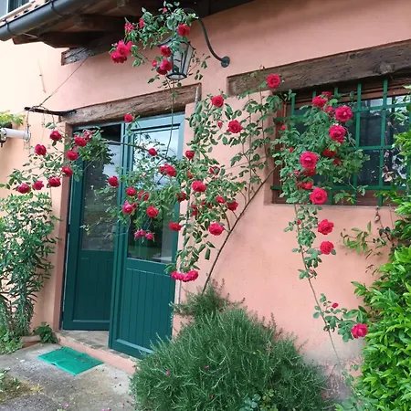 Apartment Casetta Alta *